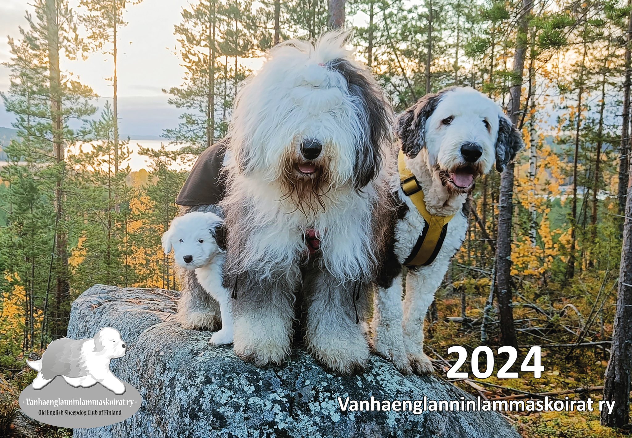 Kalenteri 2024